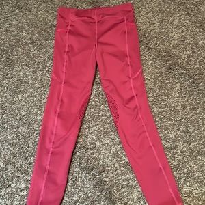 NWOT dark pink equestrian riding pants